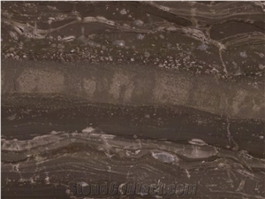 Frapuccino Marble Slabs & Tiles