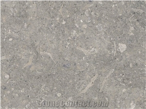 Grigio Vicenza Marble Slabs & Tiles