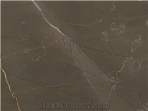 Gris Pulpis Marble Slabs & Tiles