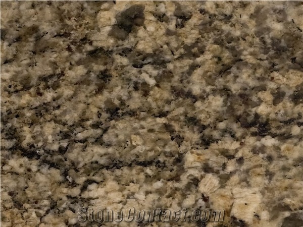 Juparana Persa Granite Slabs & Tiles