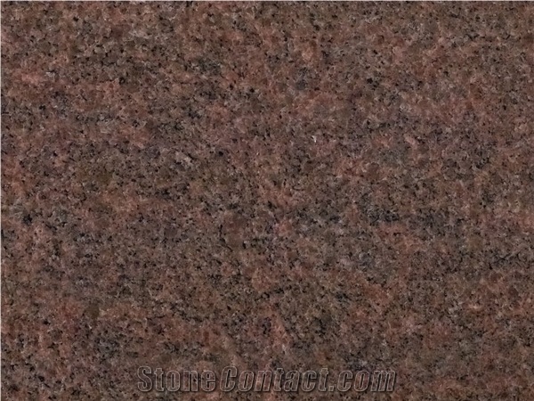 Lieto Red Granite Slabs & Tiles