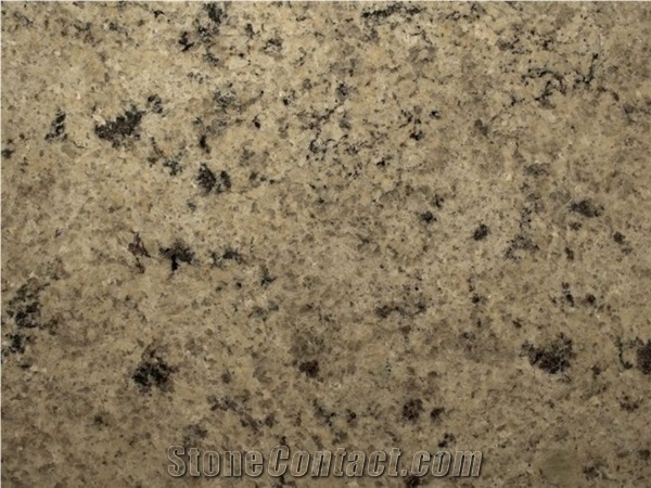 Millenium Cream Granite Slabs & Tiles
