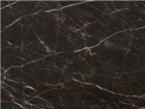 New Saint Laurent Marble Slabs & Tiles