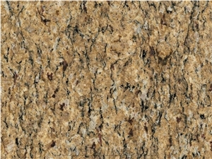 New Venetian Gold Granite Slabs & Tiles