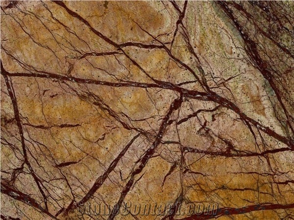 Rain Forest Gold Marble Slabs & Tiles