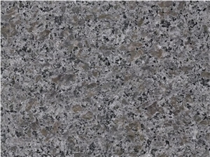 Silver Coffee Granite Slabs & Tiles