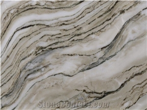 Silver Wood Marble Slabs & Tiles