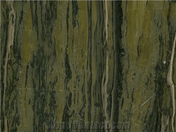 Verde Bamboo Quartzite Slabs & Tiles