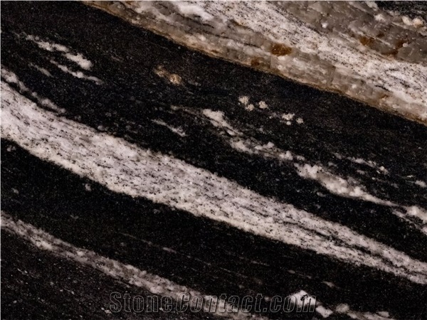 Zebra Black Granite Slabs & Tiles