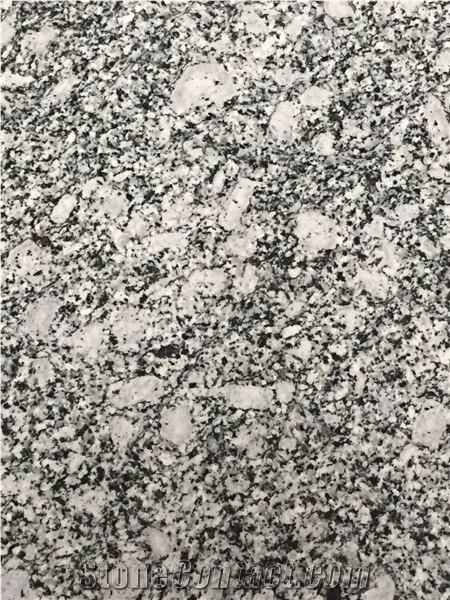 Polished Seawave Spary White Granite Exterior Wall Tile
