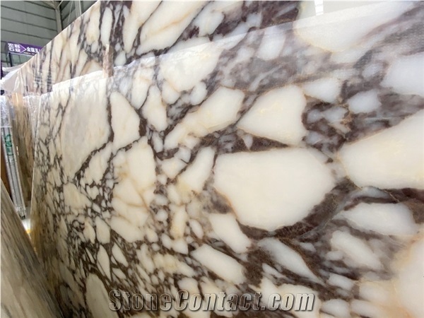 Italy White Arabescato Corchia Marble Stone,Slabs and Tiles
