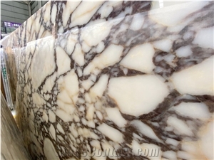 Italy White Arabescato Corchia Marble Stone,Slabs and Tiles