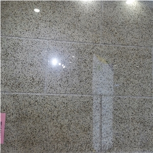 China New Yellow G682 Granite Bush Hammered Wall Tiles