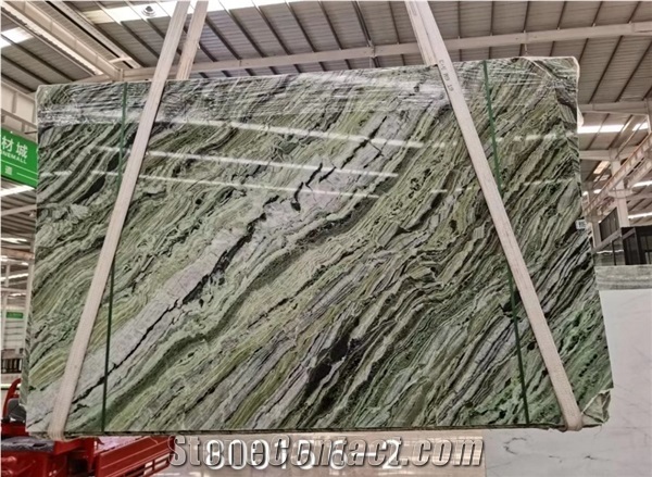 China Raggio Verde Marble Polished Wall Slabs & Floor Tiles