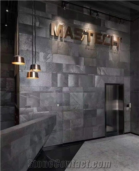 G0818 Silver Schist Brushed Ultrathin Wall Covering Slabs