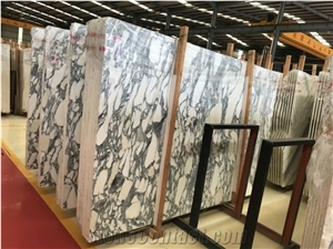 Italy Arabescato Corchia Marble White Polished Slabs & Tiles