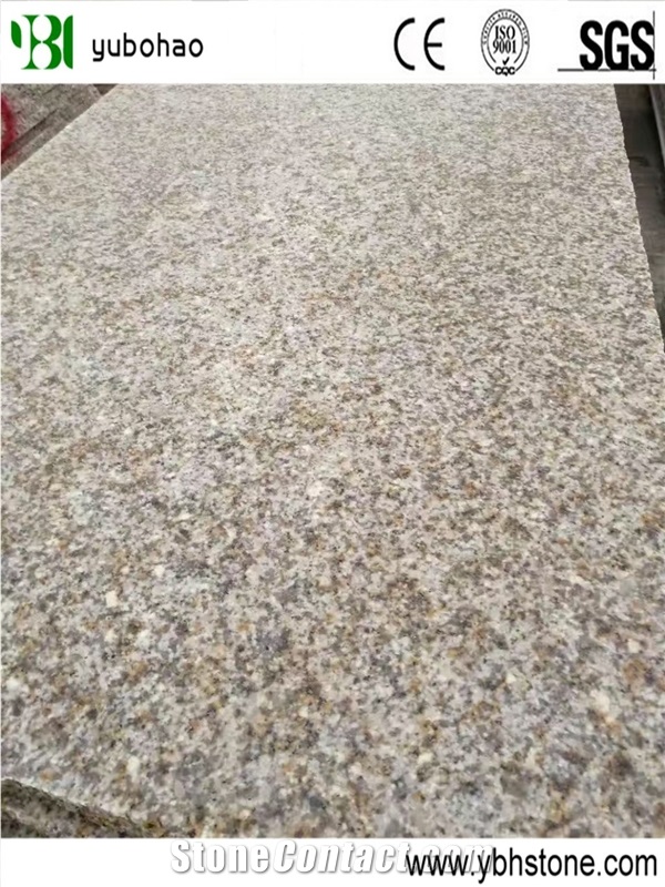 G682/Shandong Rusty Granite Tile for Wall/Floor