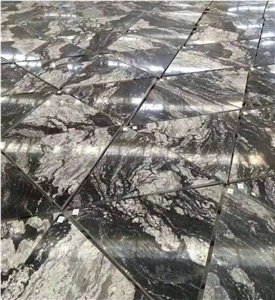 Nero Fantasy/China Black Granite Tiles & Cladding