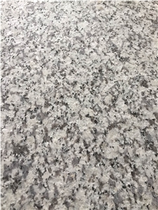 Sesame White/North, Granite Slabs/Wall/Floor Tiles