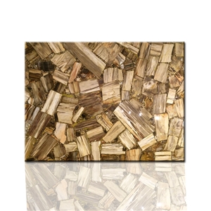 Petrified Wood Slab Tile/Fossil Stone for Sale