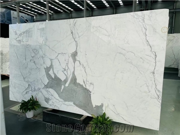 Carrara Calacatta White Marble Slab Wall Tile