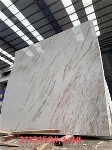 Delicato White Marble Wall Slabs Floor Tiles Bath Wallings
