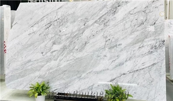 White Stone Carrara Calacatta Marble Slab