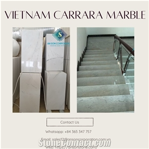 Hot Sale Vietnam Carrara Marble Tiles