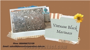 Vietnam Black Marinace
