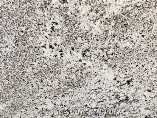 Oyster White Granite Slabs & Tiles, Indian Oyster White
