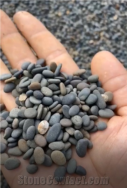 China Natural Black River Stone Pebbles 6-9mm Gxp-10b