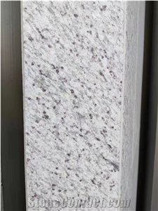 White Cida Warner Cheetah Granite Slab Tile