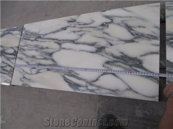 Arabescato Corchia Carrara White Marble Home Hall Tile Paver