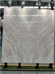 Italy Palissandro Light White Marble Bianco Wall Slab Tile
