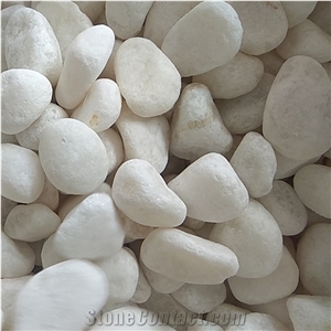 Factory Natural White Pebble Stone for Decoration
