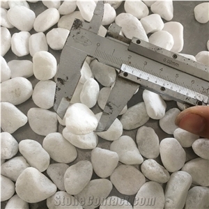 Tumbled Roundness White Color Pebble Stone