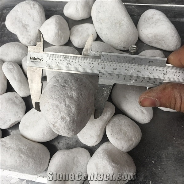 Vietnam Snow White Pebble at Competitive Price