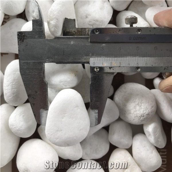 White Color Pebble Stone for Pavers Aquarium Terrazzo