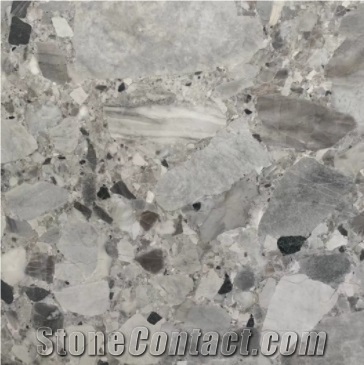Natural Terrazzo Fossil Grey Marble Big Polished Slab Buyer