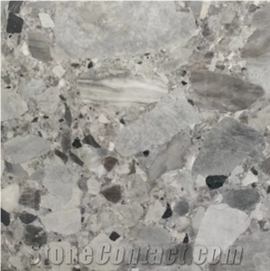 Natural Terrazzo Fossil Grey Marble Big Polished Slab Buyer