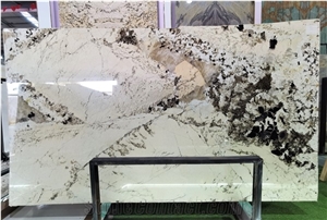 Brazil Fantastic White Granite Slabs