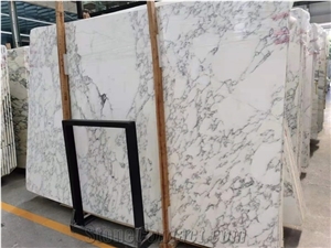 Italy Arabescato Carrara White Marble Slab