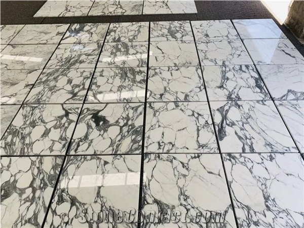 Italy Arabescato Mossa Bianco White Marble Floor Tiles
