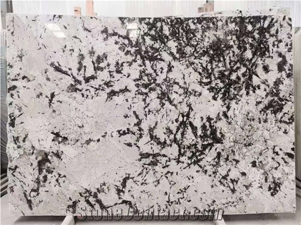Polished Brazil Galaxy White Granite Slab