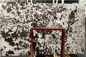 Polished Brazil Orion White Granite Slab