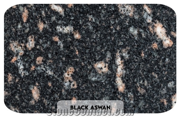 Black Aswan Granite Slabs & Tiles, Egypt Black Granite