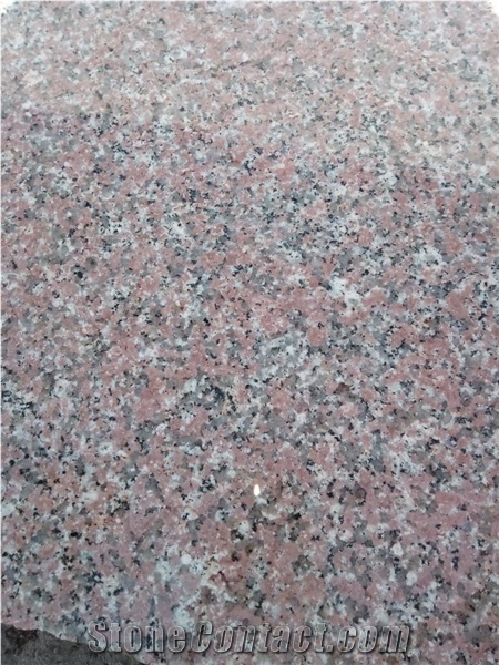 Rosa El Nasr Granite Slabs, Tiles