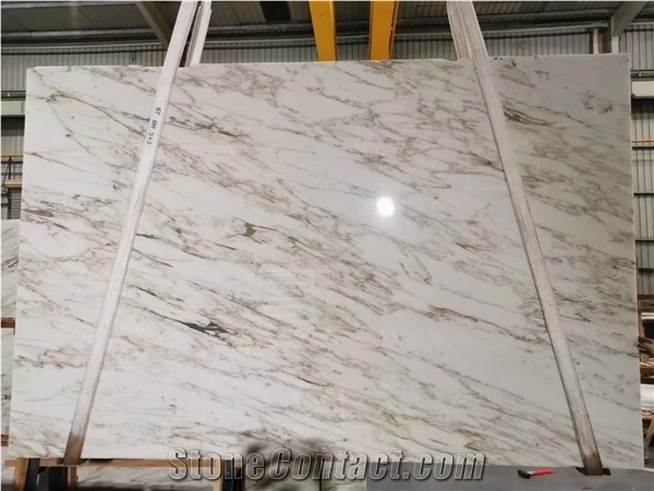 Calacatta Conci Marble for Wall Covering
