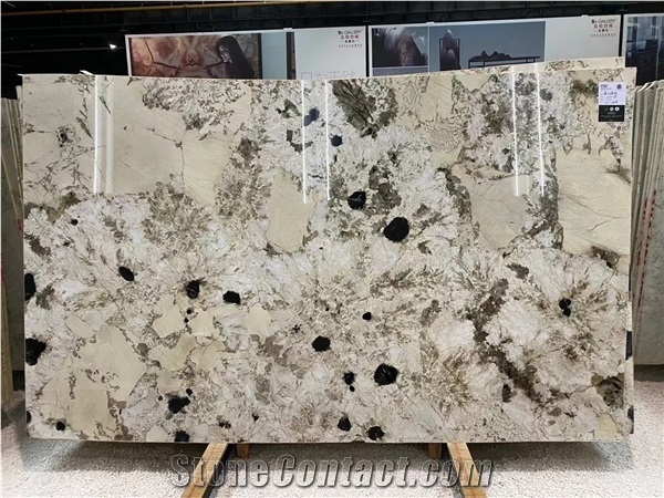 Vogue Branco Granite for Kitchen Countertop