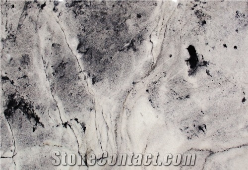 Black Veins Marble Stone/Marble Stone